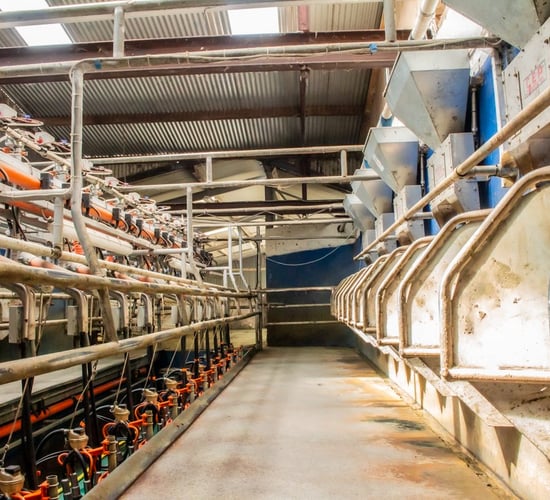 GDT sees slight lift for first rise in 9 auctions