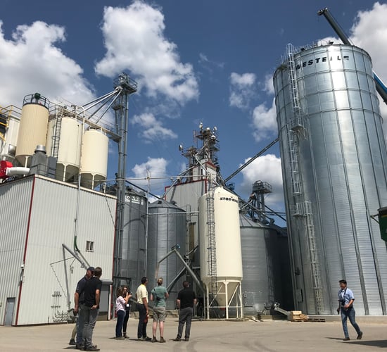 Watch: Cribit Seeds trialling and processing seed in Ontario
