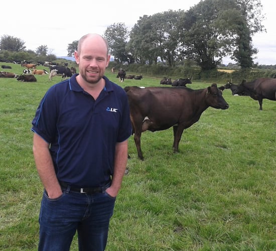 Irish man returns from New Zealand to join the LIC team