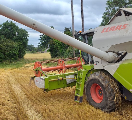 Rain halts harvest...plus straw news