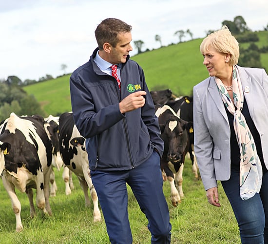 IFA welcomes dairy permits and calls for 'same approach for pig and poultry'