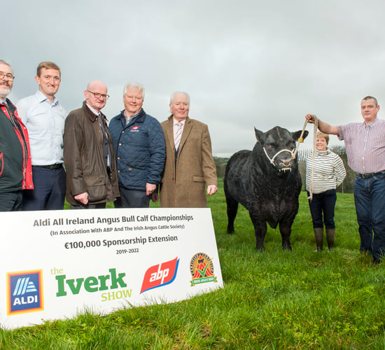 €27,000 prize fund at the 2019 Angus Bull Calf Championship