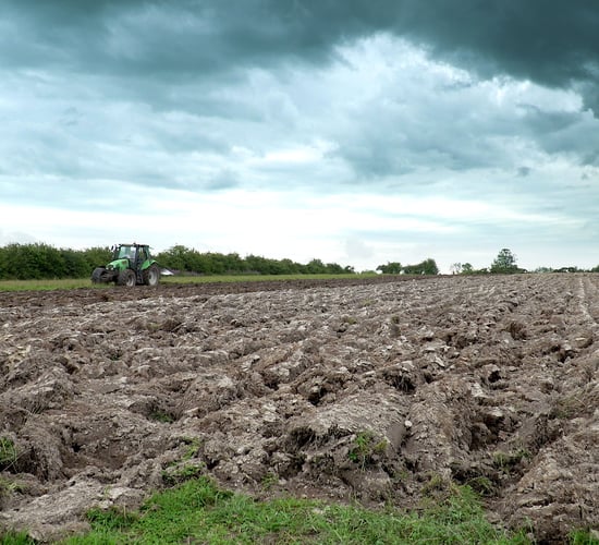Video: Getting the plough out in Co. Roscommon