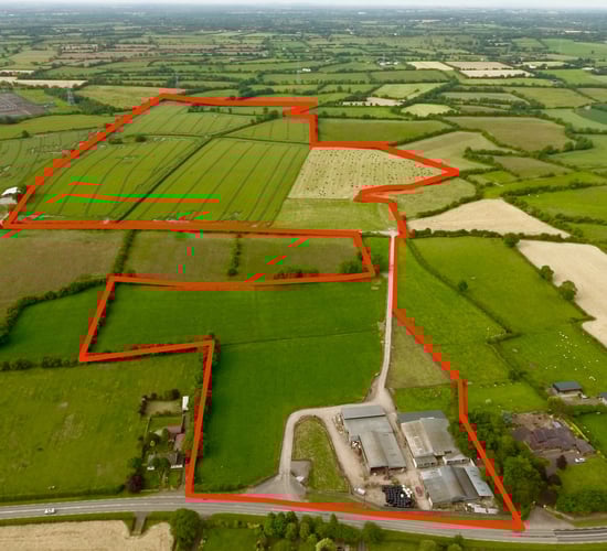 Pelletstown Farm: Historical Limousin enterprise to go under the hammer