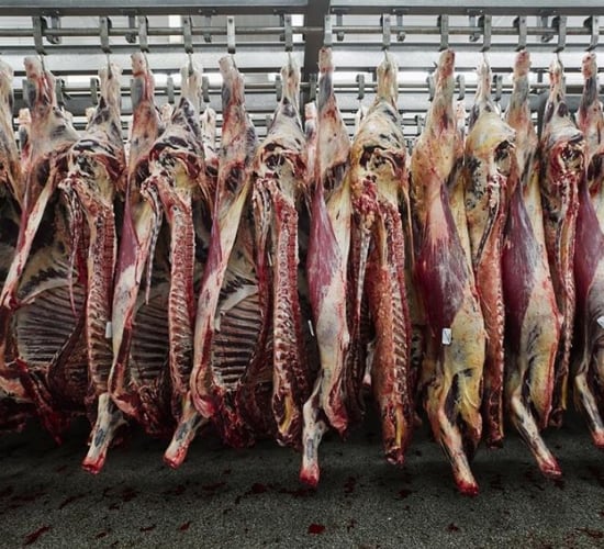 Creed not going to jump on 'populist' beef import 'bandwagon'