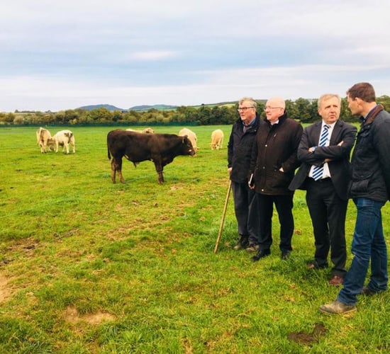Creed on suckler cull proposal: 'It's an evolving picture'