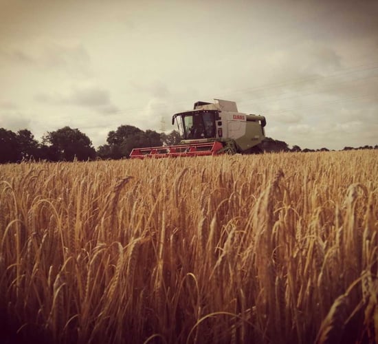 Harvest update: Mixed reports on yield as winter barley wraps up in midlands