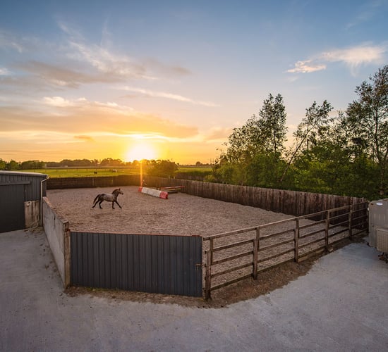 'Rare' residential property for sale with equine facilities and an American-style barn