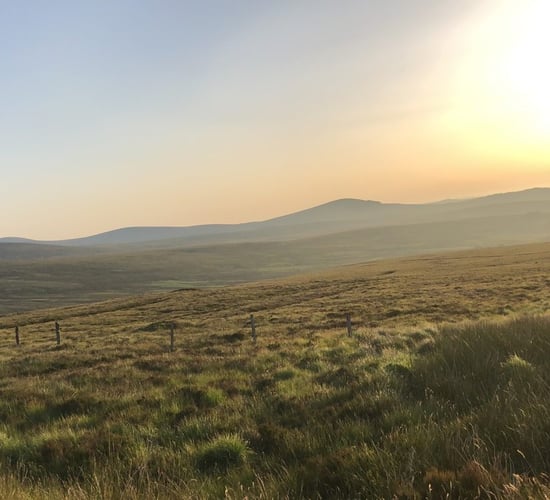Tributes paid to farm lobby group's co-founder following sudden passing