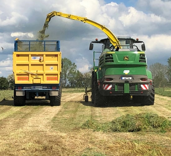 Grass growth: Hoping for a speedy recovery