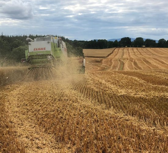 Criteria for Straw Incorporation Measure