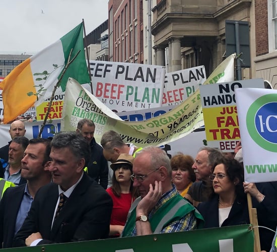Election concerns raised by 'stood down' Beef Plan National Committee [updated]