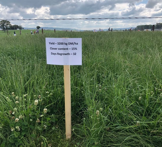 Pics: See best practices for successful grass utilisation