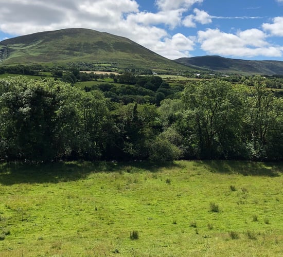 Route for Galway to Athlone cycleway to primarily use public lands