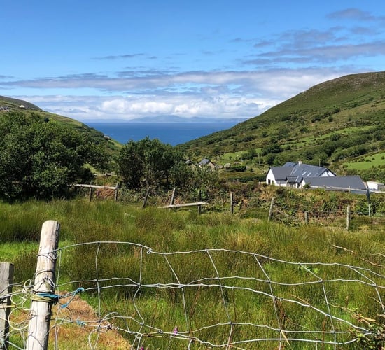 South Kerry Greenway: Agronomist appointed to deal with fallout