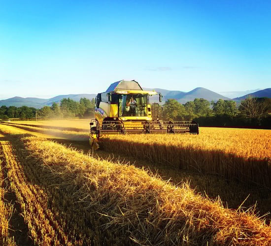 Latest harvest pics as rain results in break