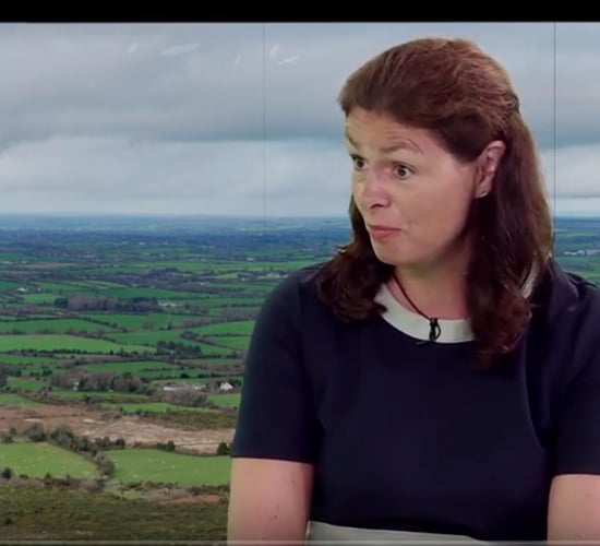 Funding for dairy 'disrupters' rising rapidly - Kavanagh