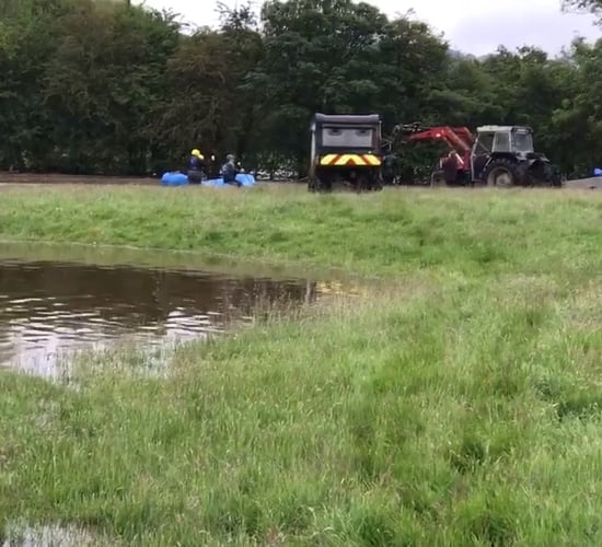 RSPCA saves 12 stranded sheep in flood rescue mission