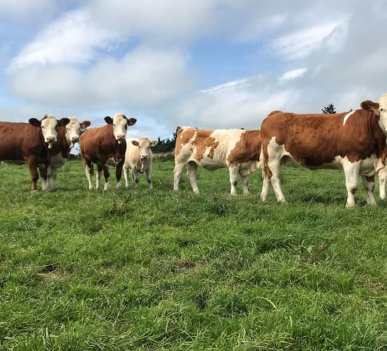 TB Forum agrees 10 policy actions - but 'work still needed'