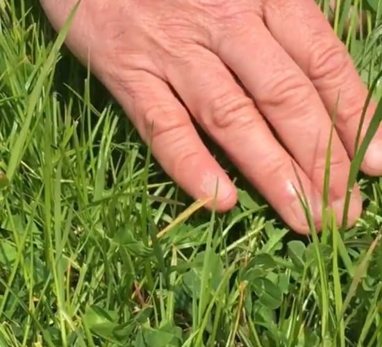 UK farmers urged not to miss out on 230% R&D tax credit