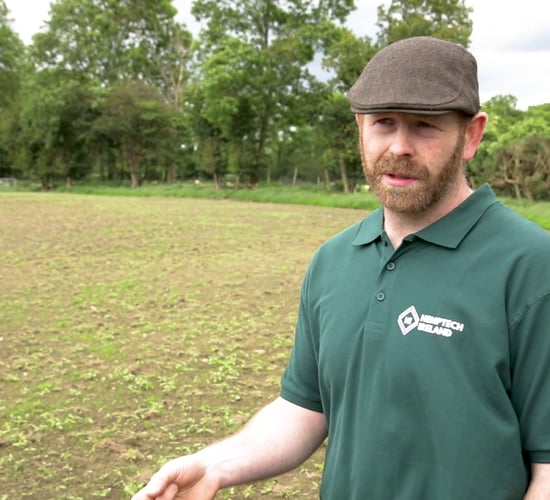 Tillage focus: Growing and harvesting a 40ac hemp crop in Co. Wicklow