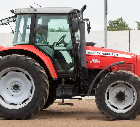 Auction report: 'If she ain't red...'