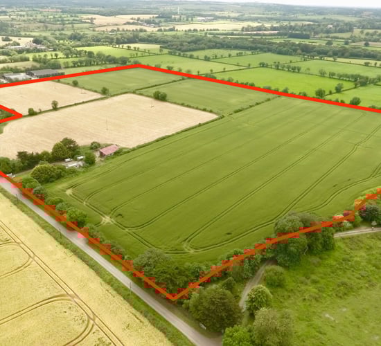 Video: 41ac residential farm in the 'royal county' to go for auction in lots