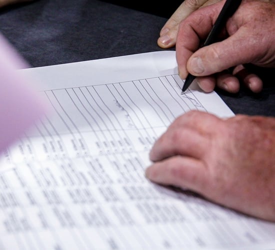 Farm payments refused over box-ticking exercise - TD