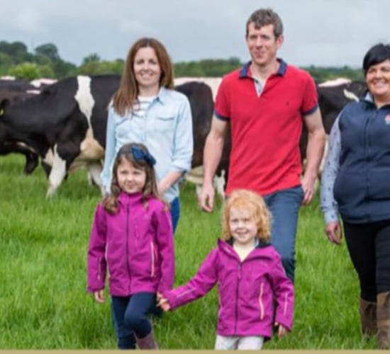 Dairygold set to host milk quality open day
