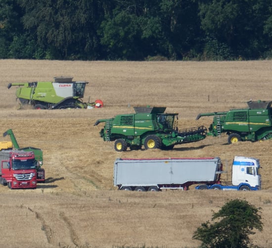 Harvest pics: Heavy rain halts activity