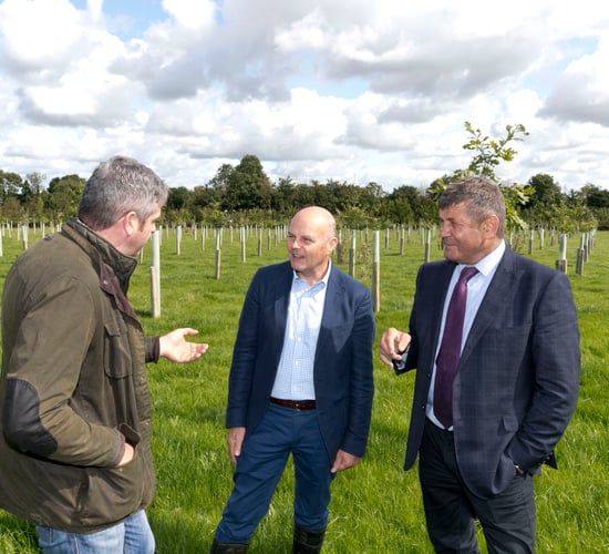 Doyle highlights role of agroforestry on Irish farms
