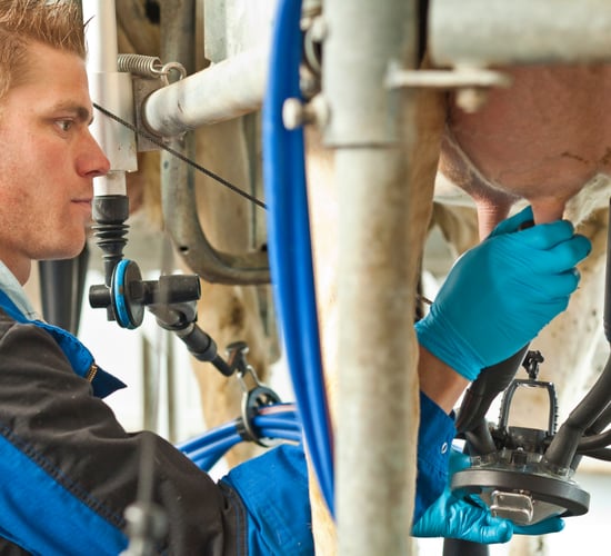 DeLaval breaks ground on rebuild at Hamra Farm