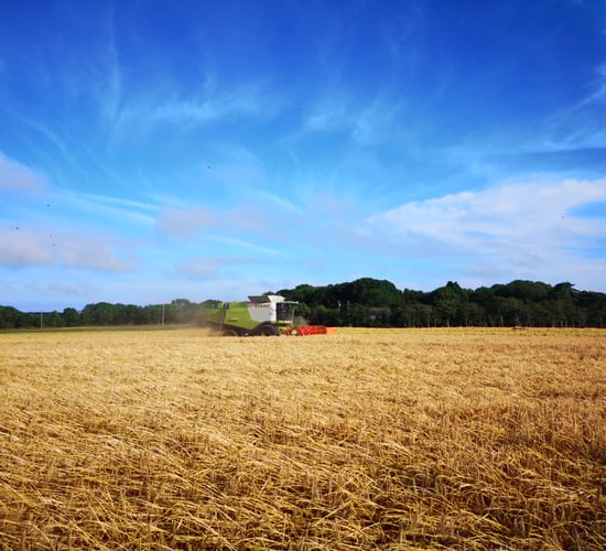 Harvest challenges ‘stacking up’ for cereal and oilseed rape