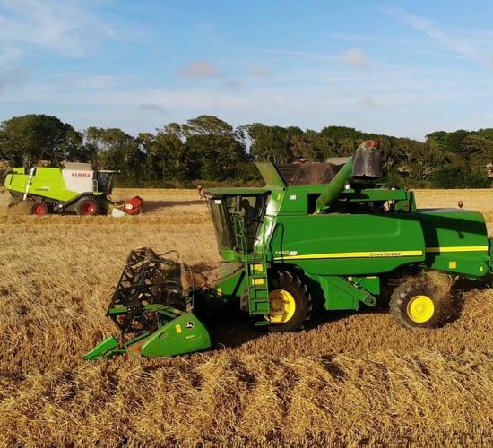 Harvest pics: Plenty of action these days