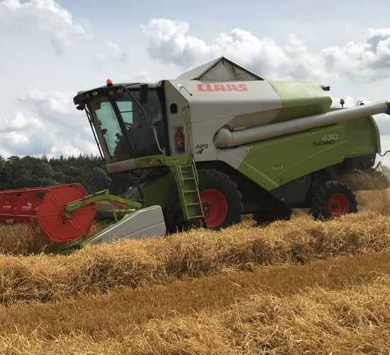 Tillage focus: This farm will soon have its own whisky and beer