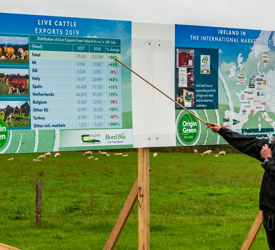 Series of beef and sheep farm walks to begin this autumn