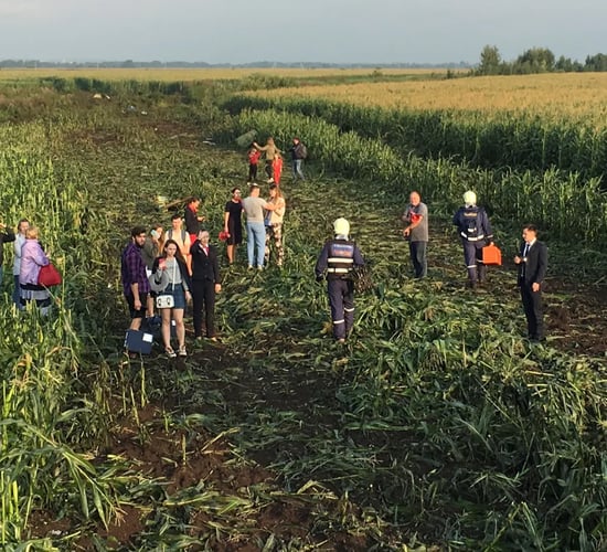 Video: Passenger jet makes emergency landing in maize field