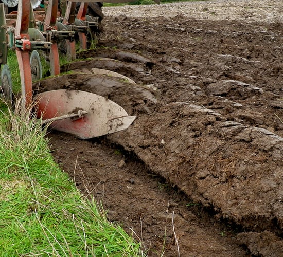 Co. Down cereal grower questions the role of a Tillage Incentive Scheme