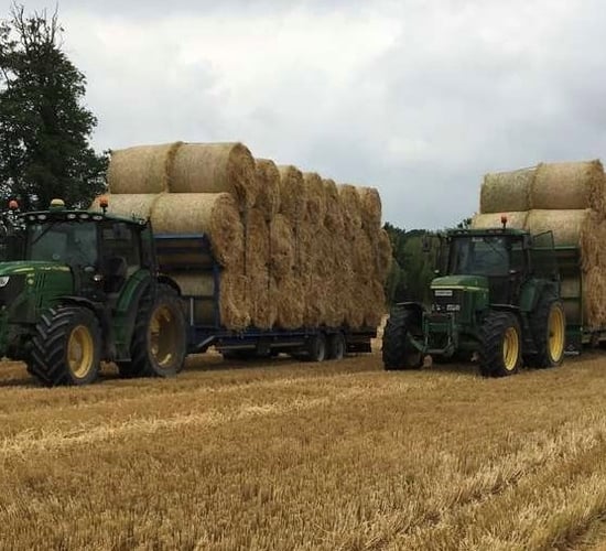 Straw price meets floor as demand comes with wet weather