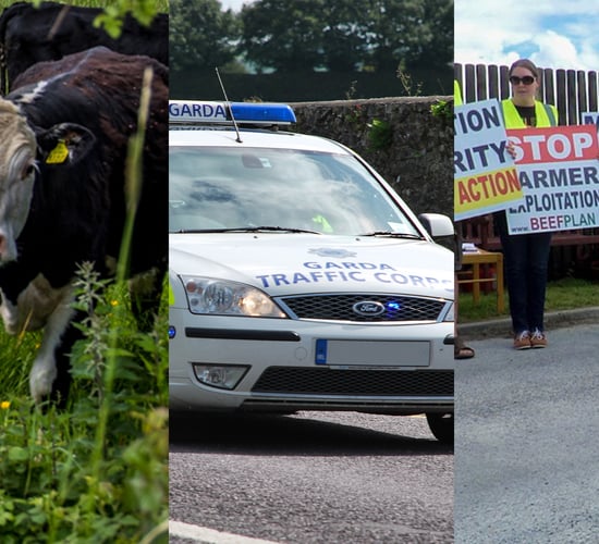 The week that was: Protests aplenty, but where to from here?
