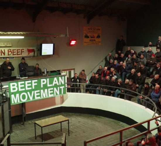 Beef Plan contacts 3 UK retailers to arrange meetings