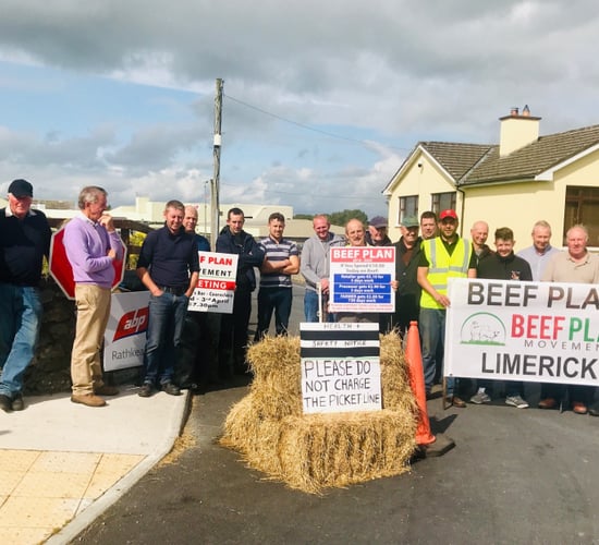 ‘Every dairy farmer is needed here’ – Beef Plan plea