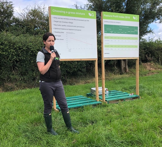 Do you know what grass varieties you will sow this autumn?