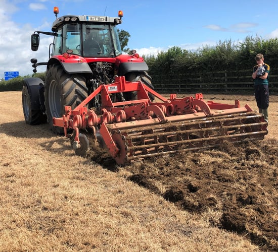 Planting cereals after long-term permanent pasture