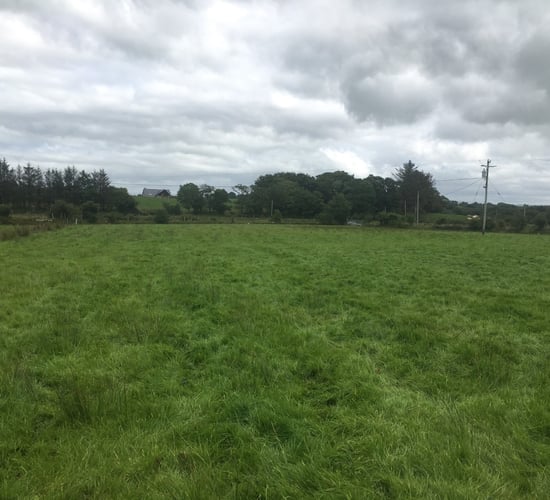 Soil moisture deficits improve after recent rainfall