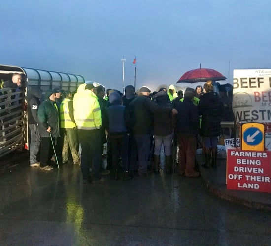 Acts of a few 'wayward protesters' grinds Beef Plan rally to a halt - for now