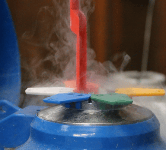 What were the most popular beef AI sires in 2018?