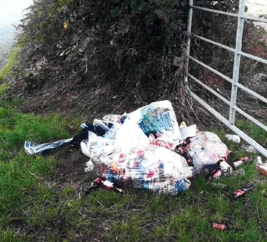 Fly-tipper 'stung' with fine in 'sunny south-east'