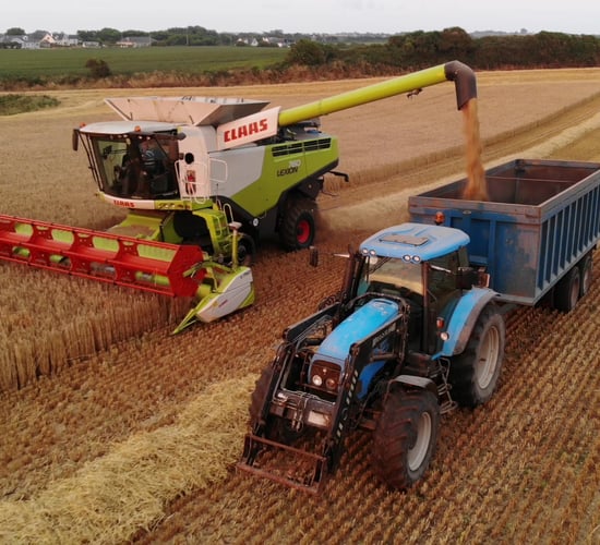 Grain price: Unsettled, but not going to jump anywhere fast