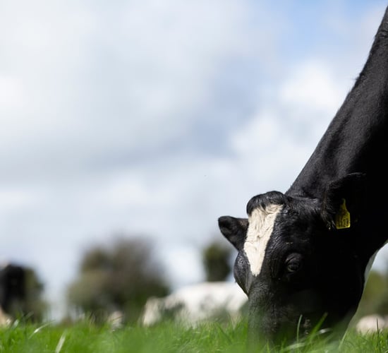 New service launched to improve farm efficiency and sustainability